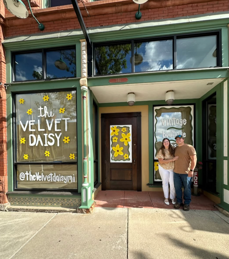 The Velvet Daisy
