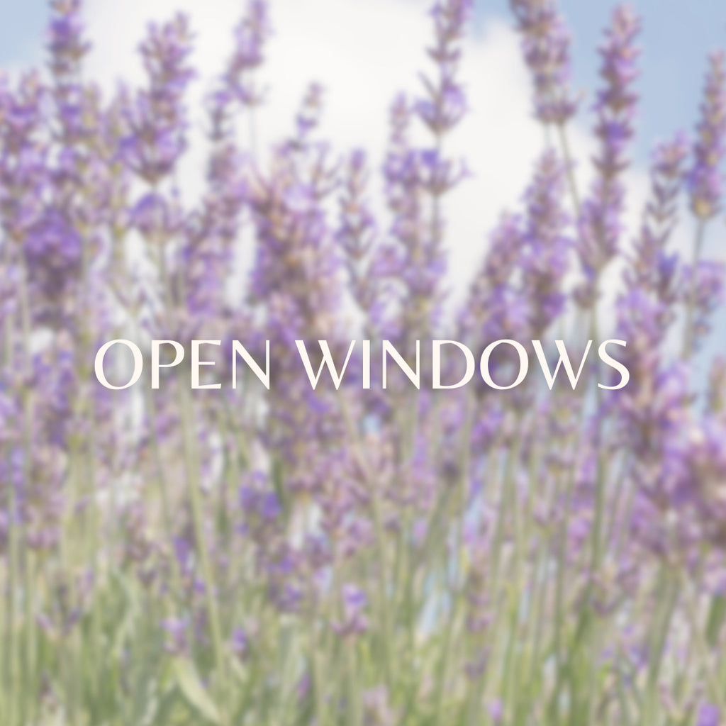 Open Windows  image 0