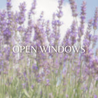 Open Windows  image 0