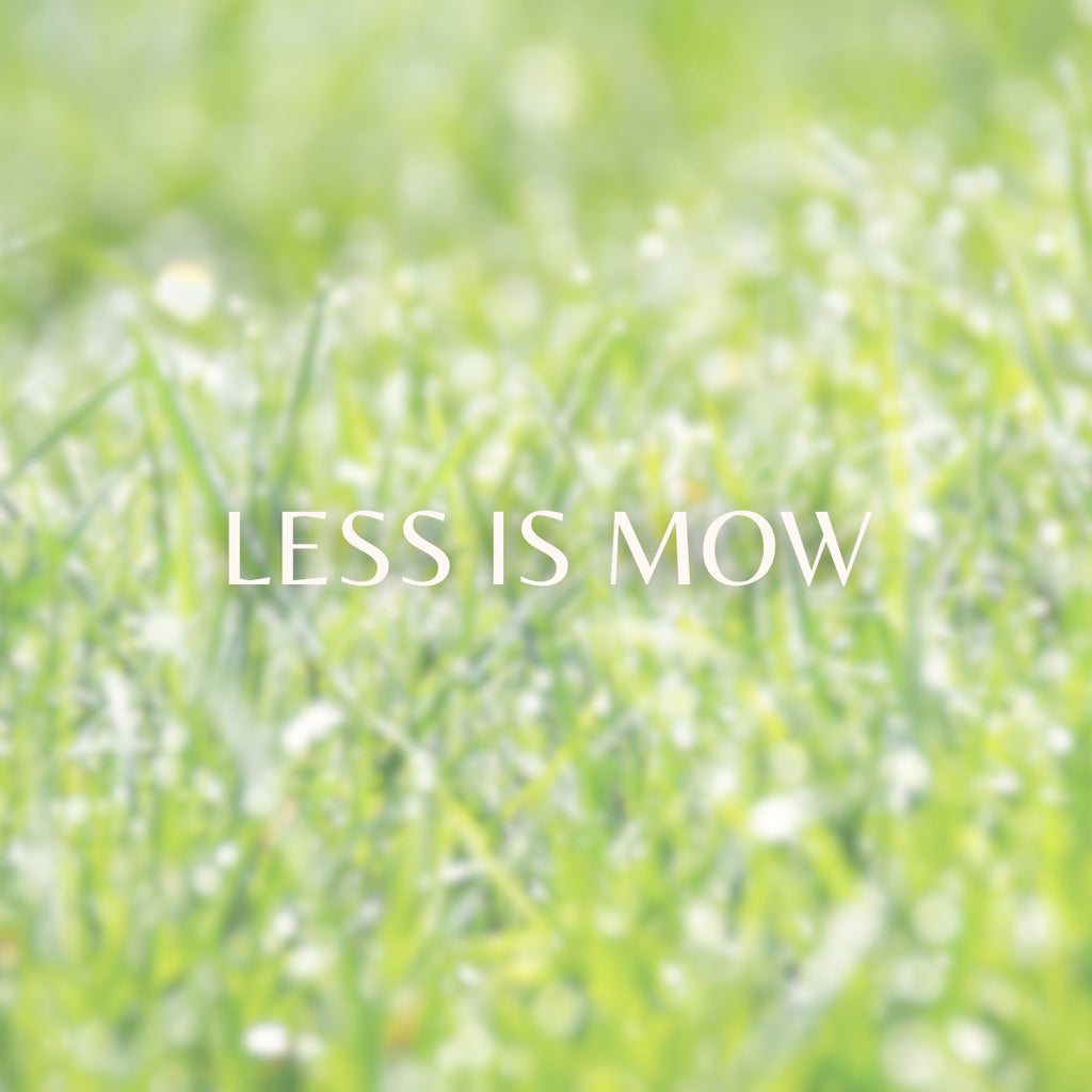 Less is Mow image 0