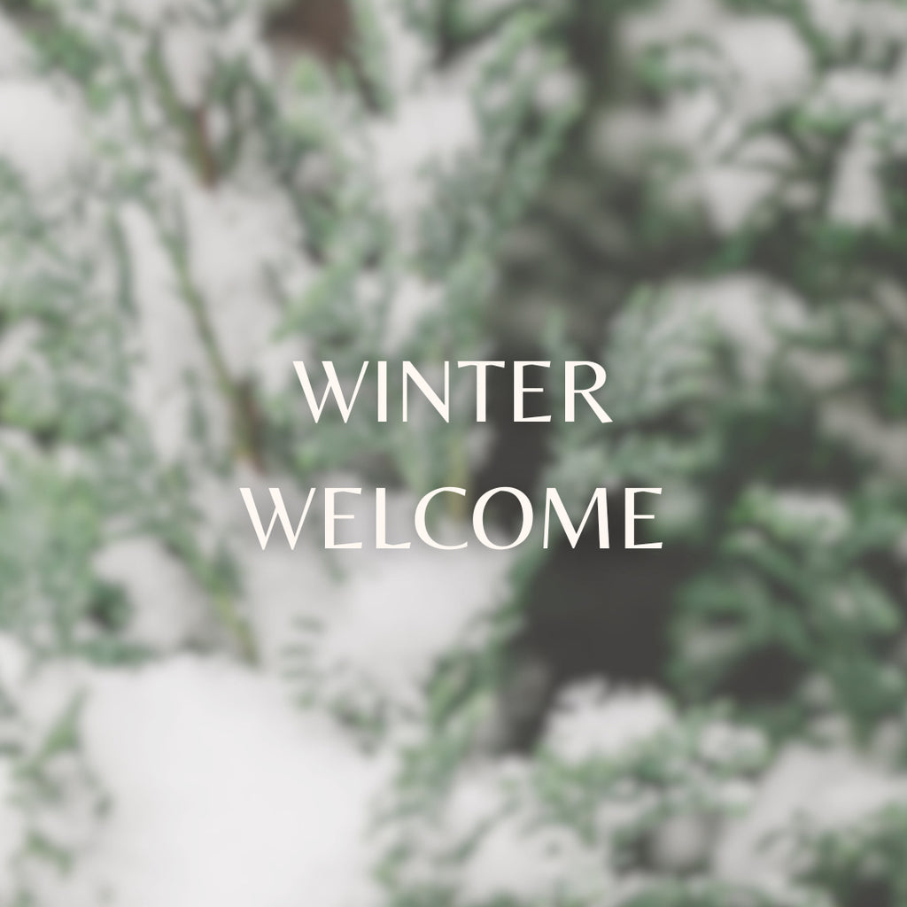Winter Welcome image 0