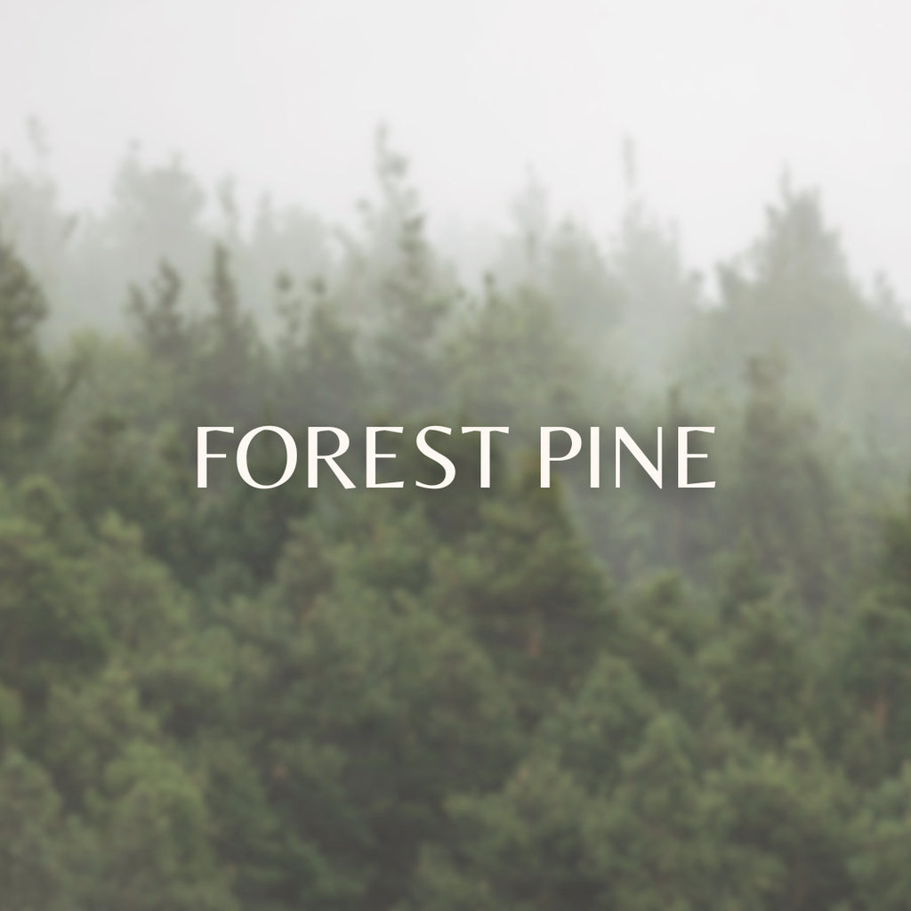 Forest Pine image 0
