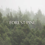 Forest Pine image 0