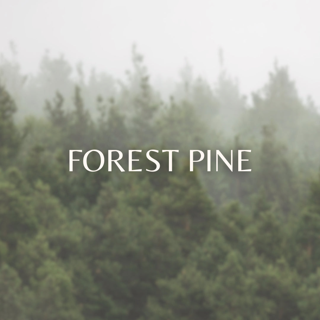 Forest Pine image 0