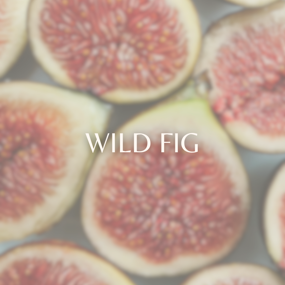 Wild Fig image 0
