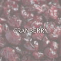 Cranberry car air freshener by Honeycomb & Harvest