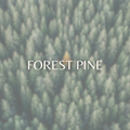 Forest Pine car air freshener by Honeycomb & Harvest