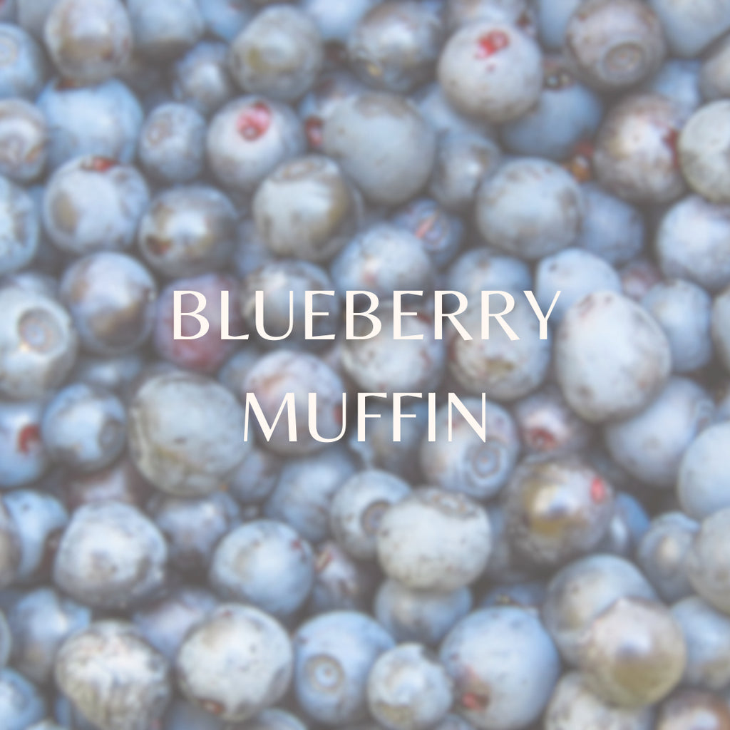 Blueberry Muffin image 0