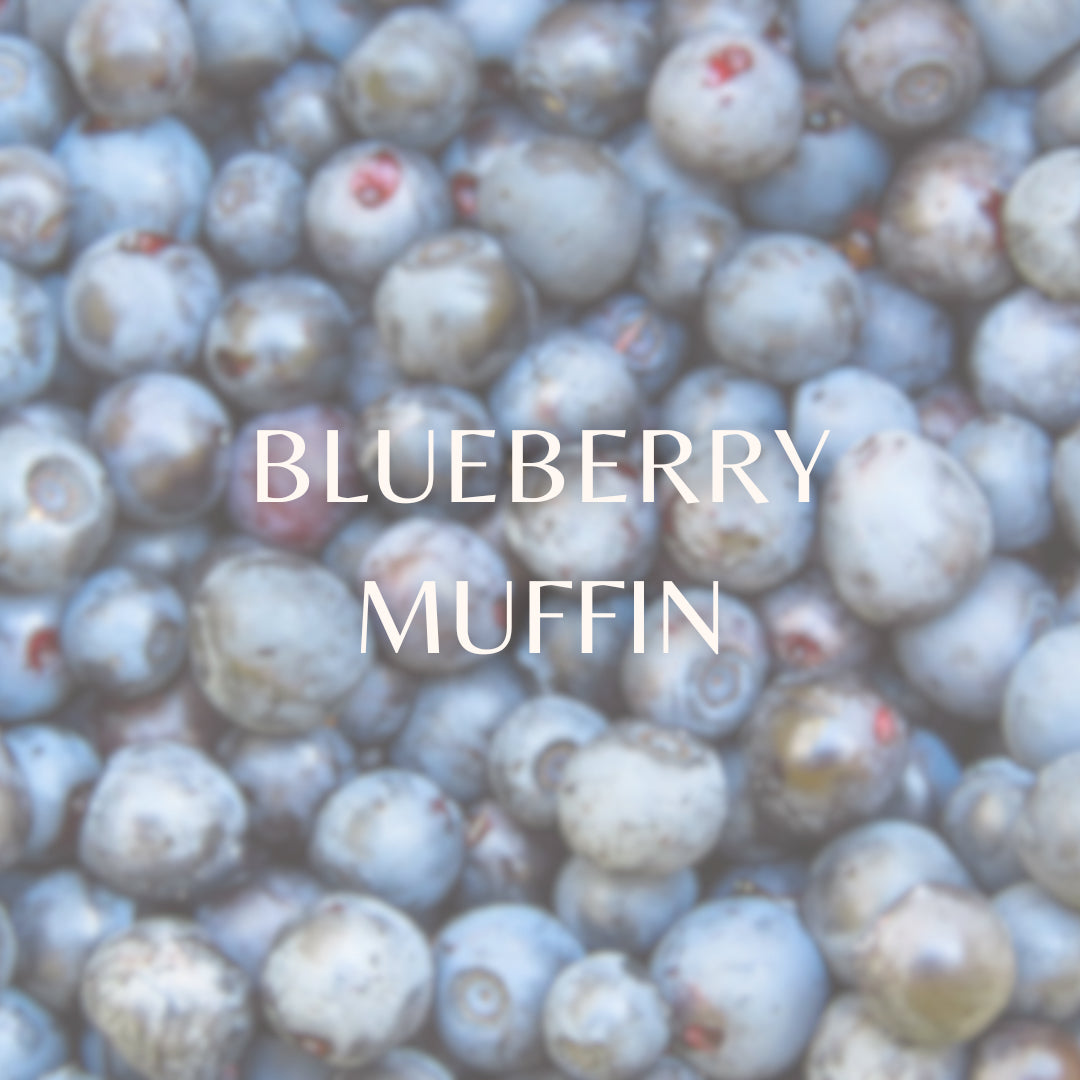 Blueberry Muffin image 0
