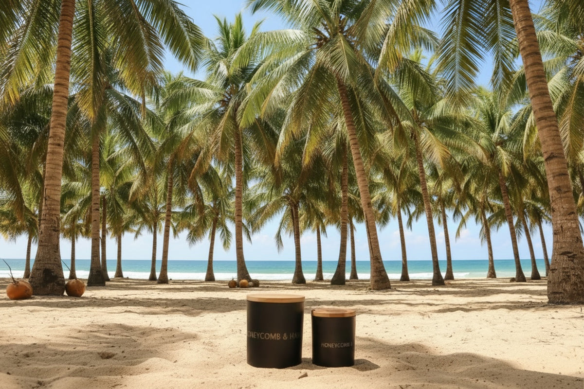 Coconut Coast image 1